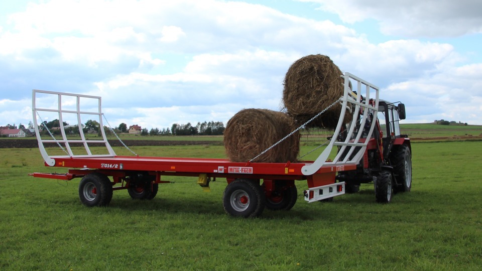 Ballenanhanger T014/2